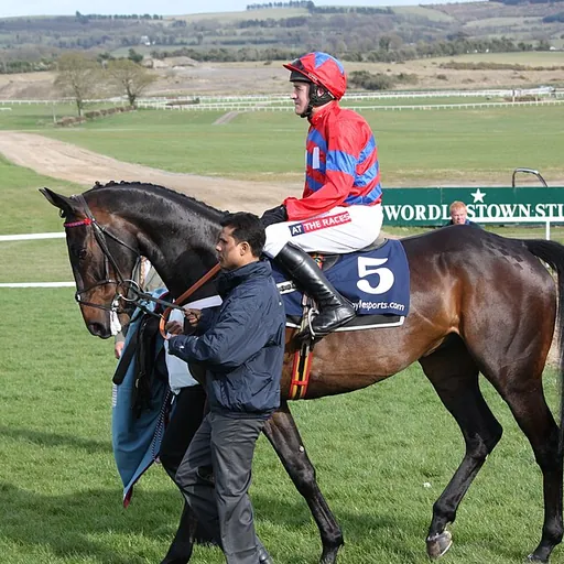 Portrait of Barry Geraghty