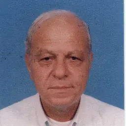 Portrait of Efraim Shalom