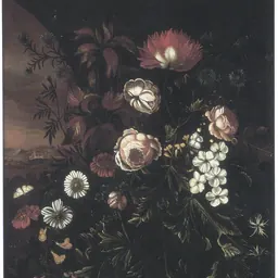 Portrait of Maria Withoos