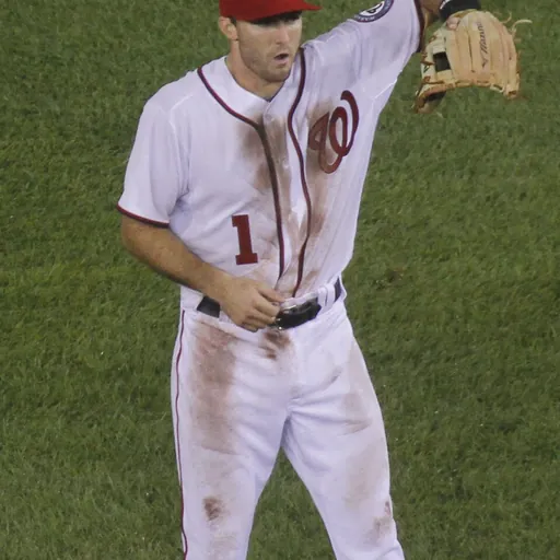 Portrait of Steve Lombardozzi, Jr.