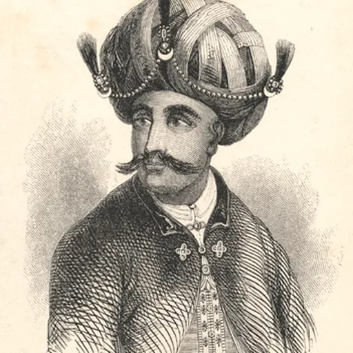 Portrait of Hyder Ali