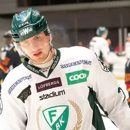 Portrait of Johan Ivarsson