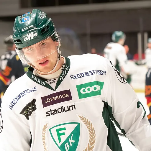 Portrait of Johan Ivarsson