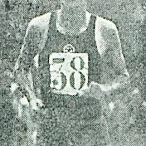 Portrait of Franjo Mihalić
