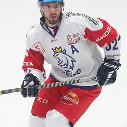 Portrait of Michael Špaček