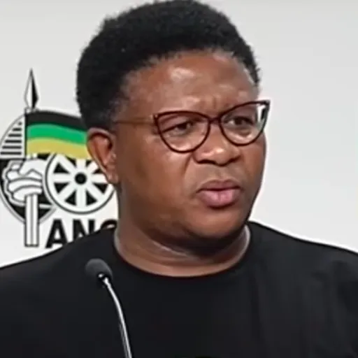 Portrait of Fikile Mbalula