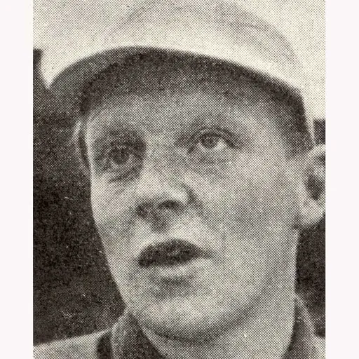 Portrait of Bror Pettersson