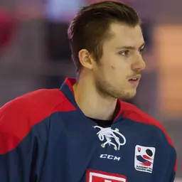 Portrait of Martin Bakoš