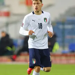 Portrait of Nicolò Barella