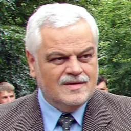Portrait of Vojislav Stanimirović