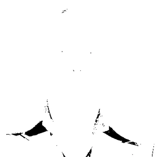 Portrait of Rijk de Gooyer