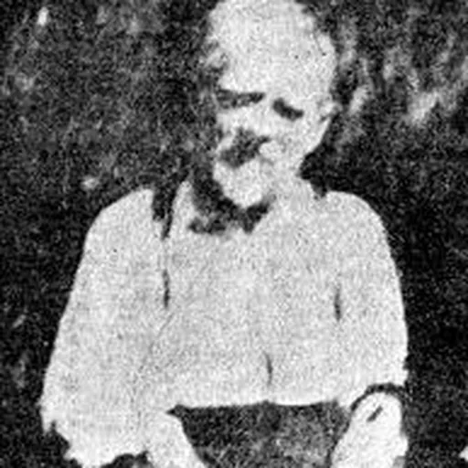 Portrait of Georges Butaud