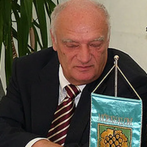 Portrait of József Gráf