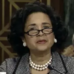 Portrait of Analisa Torres