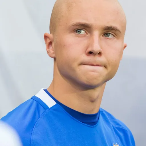 Portrait of Sebastian Holmén