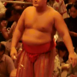 Portrait of Mōkonami Sakae