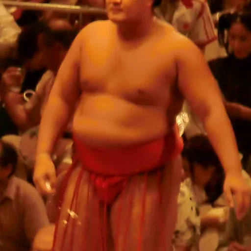 Portrait of Mōkonami Sakae