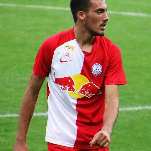 Portrait of Roko Šimić