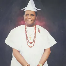 Portrait of Oluyemi Joseph Bajowa