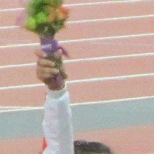 Portrait of Liu Wenjun