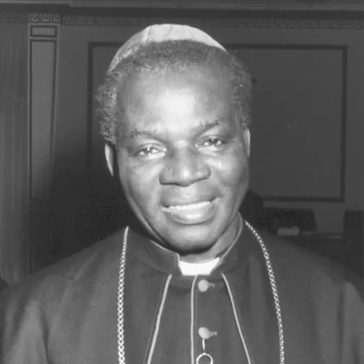 Portrait of Dominic Ekandem