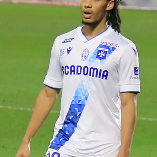 Portrait of Clément Akpa