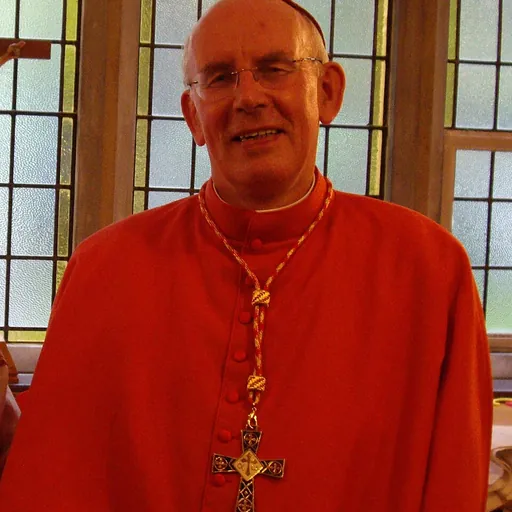 Portrait of Seán Brady