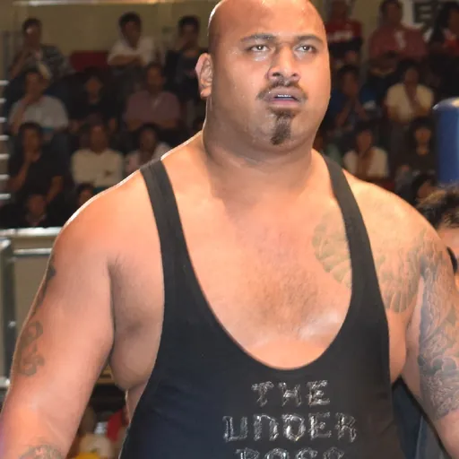 Portrait of Fale Simitaitoko