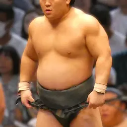 Portrait of Asakōryū Takuma