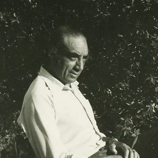 Portrait of Sá Nogueira