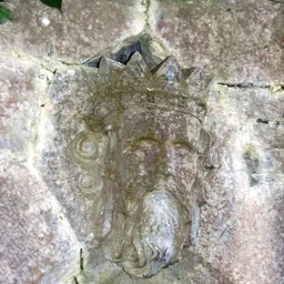 Portrait of Ruaidrí Ua Conchobair