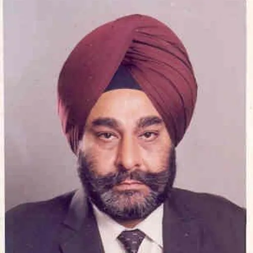 Portrait of Mahip Chadha