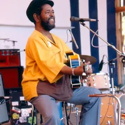 Portrait of Brownie McGhee