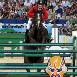 Portrait of McLain Ward
