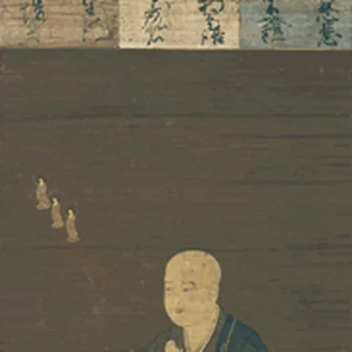 Portrait of Shandao
