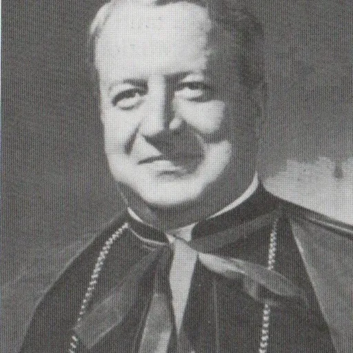 Portrait of Dino Staffa