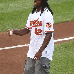 Portrait of Torrey Smith