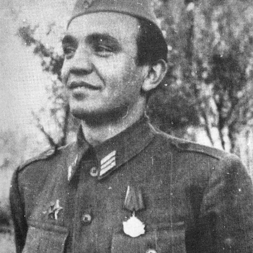Portrait of Milan Basta