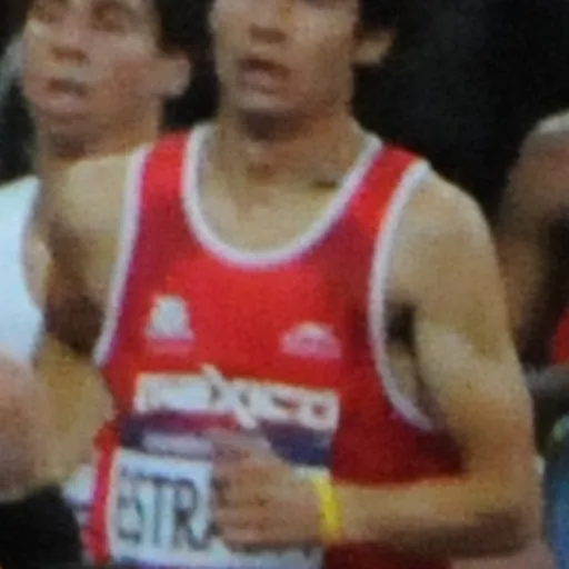 Portrait of Diego Estrada