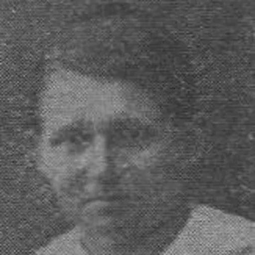 Portrait of Anna Haapasalo