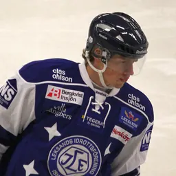 Portrait of Michael Raffl