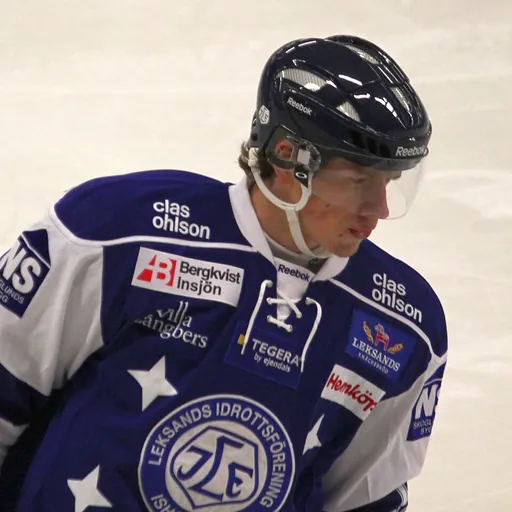 Portrait of Michael Raffl