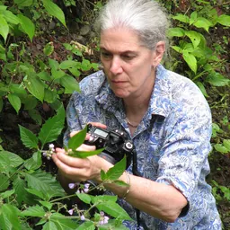 Portrait of Sandra Knapp