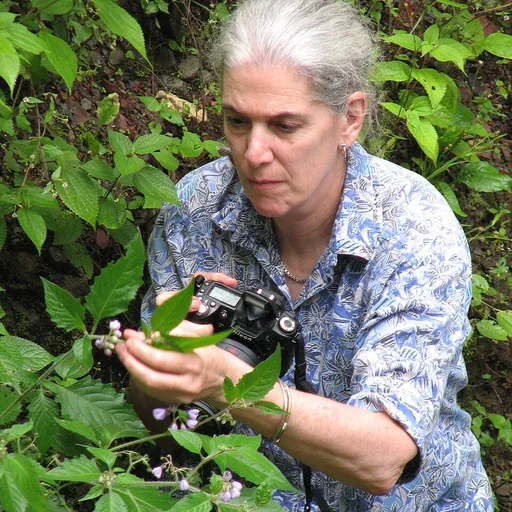 Portrait of Sandra Knapp