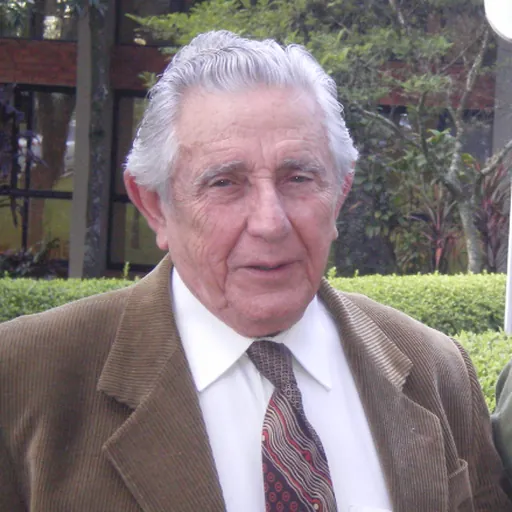 Portrait of Fernando de Mendonça