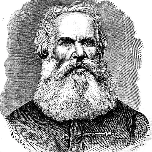 Portrait of Mihály Táncsics