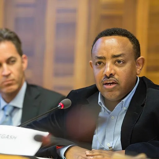 Portrait of Mesfin Woldemariam