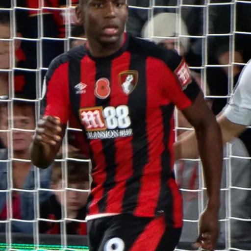 Portrait of Benik Afobe