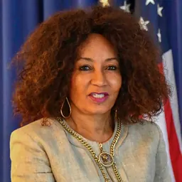 Portrait of Lindiwe Sisulu