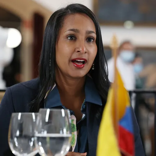 Portrait of Angélica Mayolo Obregón